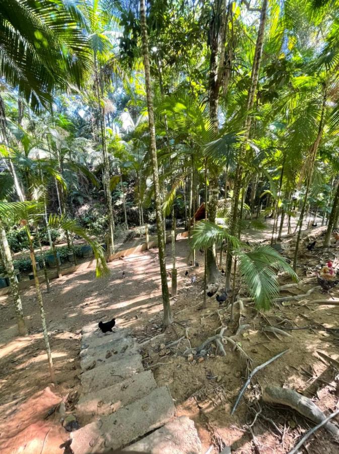 Chácara à venda com 3 quartos, 24004m² - Foto 3