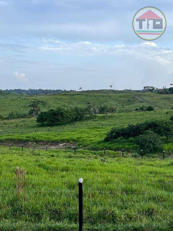 Fazenda à venda, 1210000M2 - Foto 3