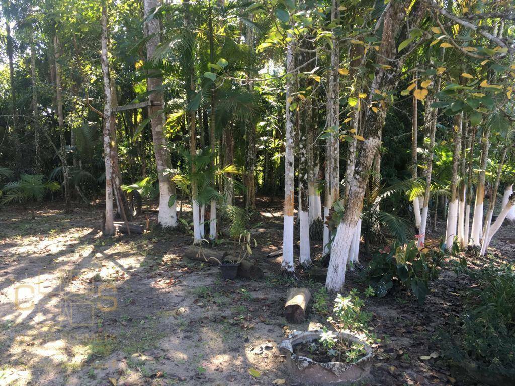 Sítio à venda com 3 quartos, 100000M2 - Foto 19