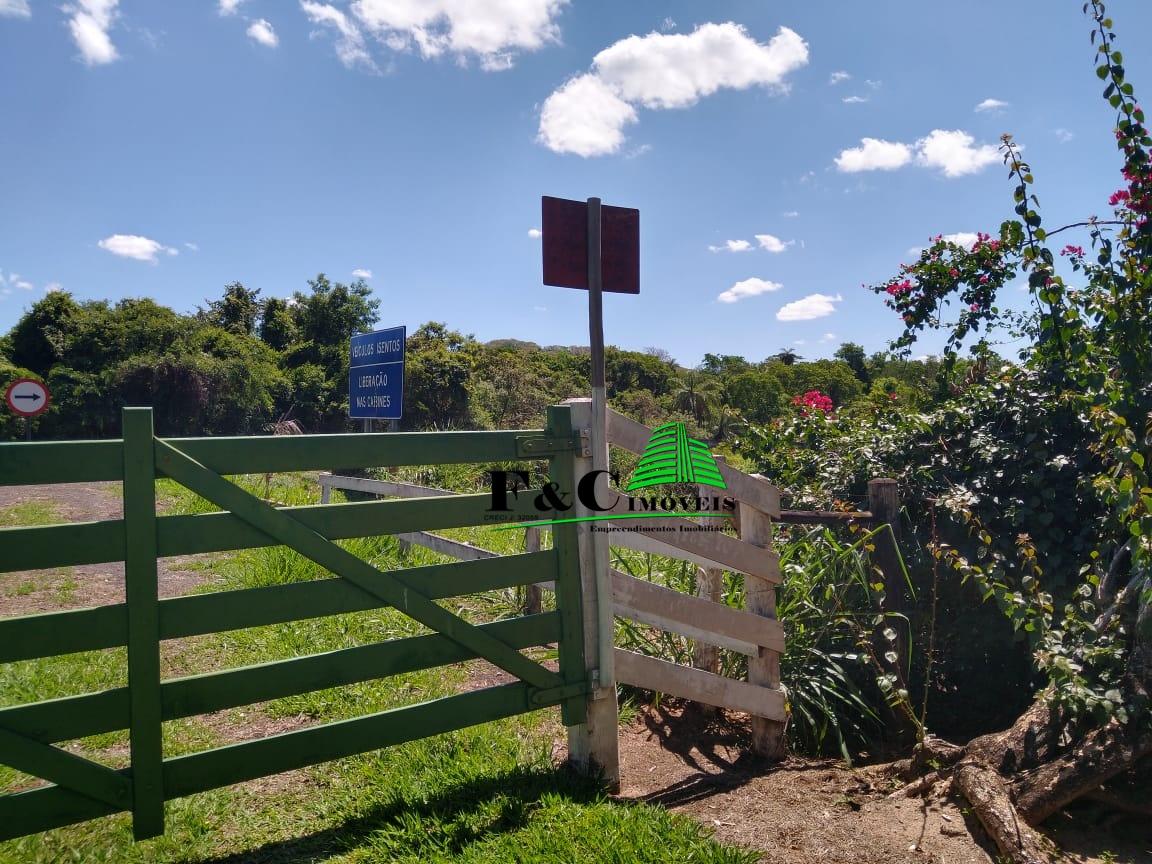 Chácara à venda com 3 quartos, 24200m² - Foto 27