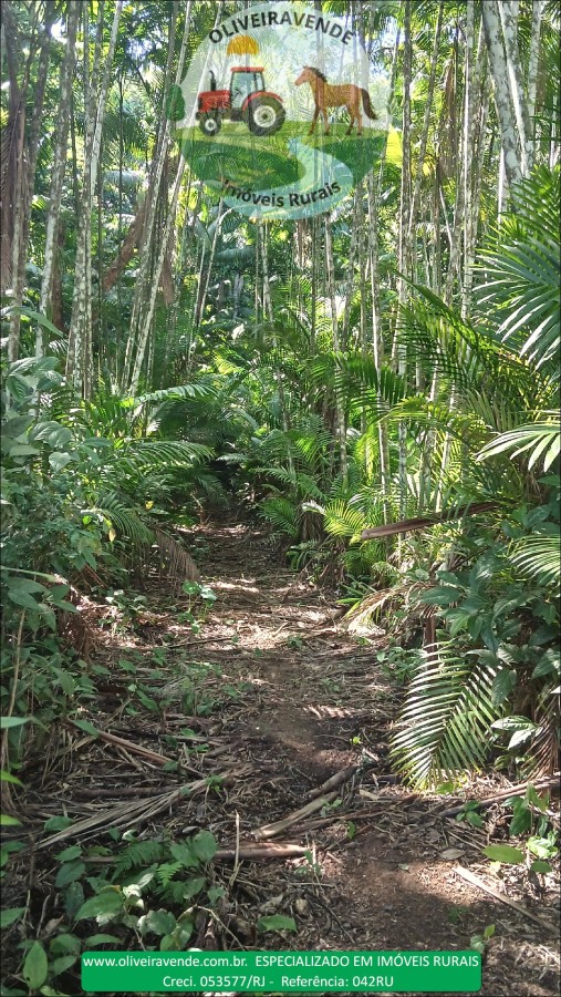 Fazenda à venda com 5 quartos, 96m² - Foto 2