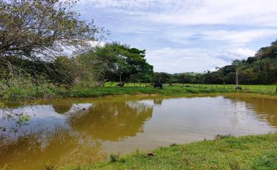 Sítio à venda com 3 quartos, 17000m² - Foto 4