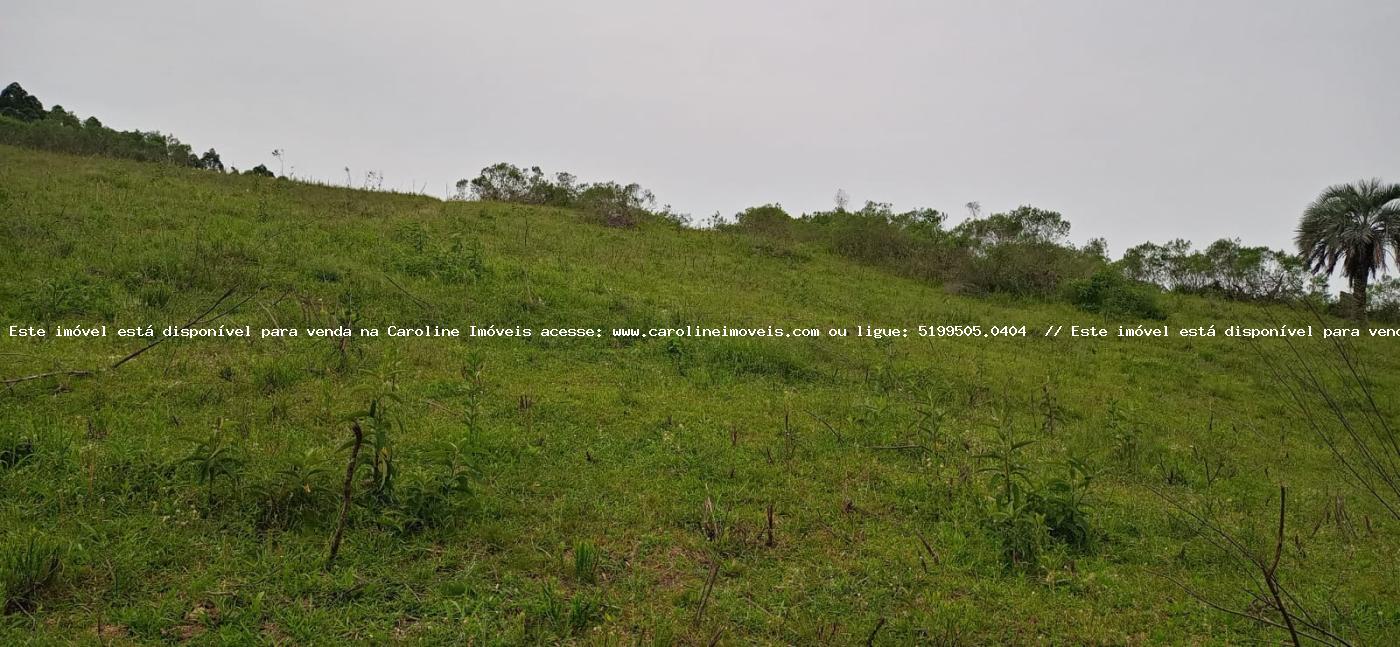 Loteamento e Condomínio à venda, 300000m² - Foto 2