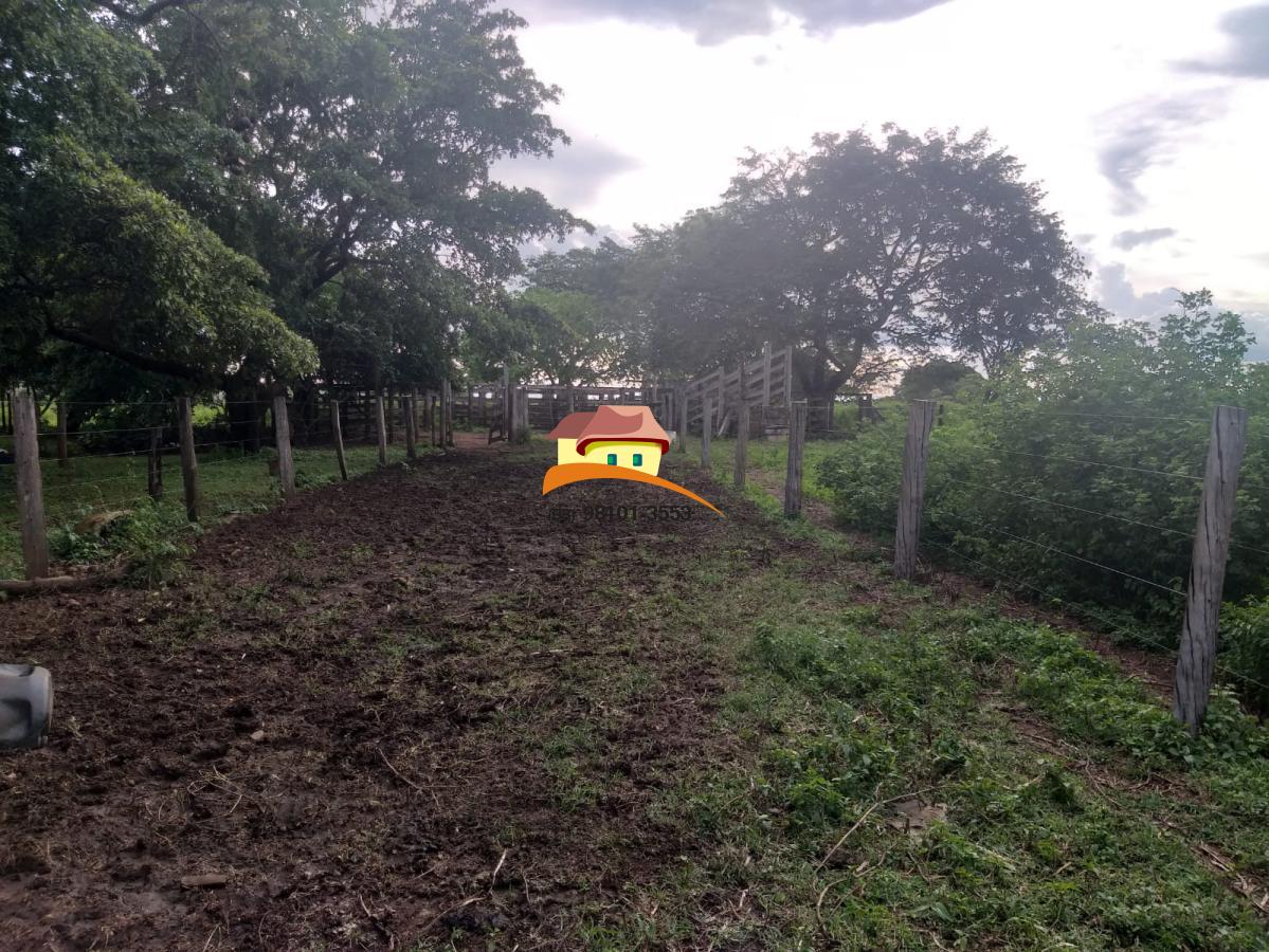 Fazenda à venda, 1640000m² - Foto 32