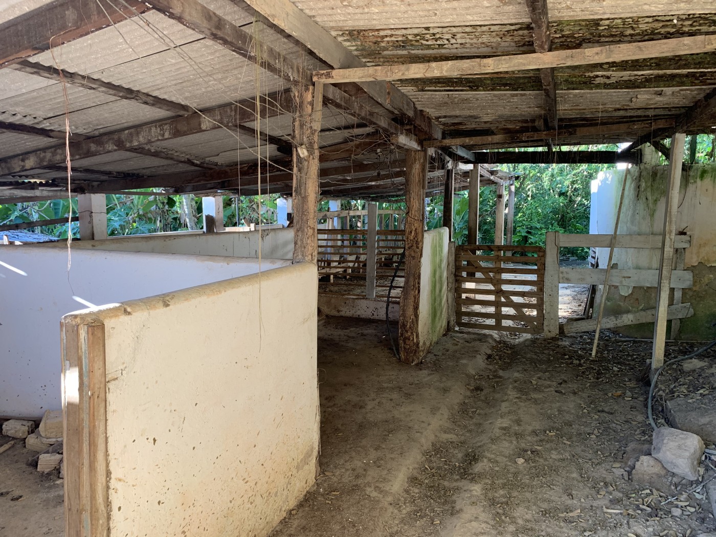 Sítio à venda com 3 quartos, 500m² - Foto 36