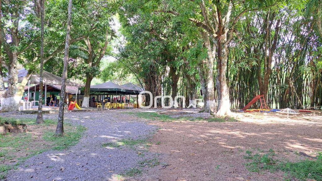 Chácara à venda com 4 quartos, 46000M2 - Foto 4