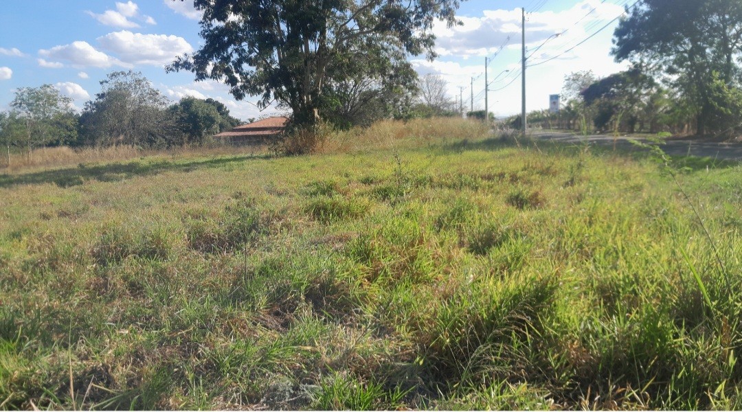 Chácara à venda, 5000m² - Foto 3