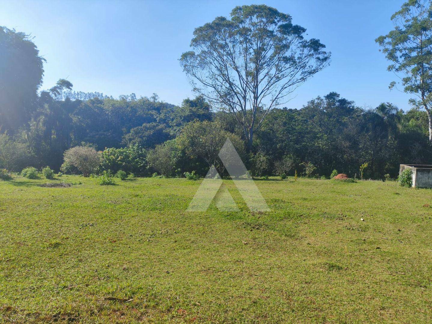 Chácara à venda com 4 quartos, 3000M2 - Foto 4
