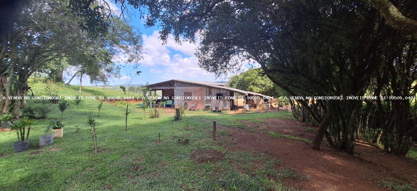 Chácara à venda com 2 quartos, 10000m² - Foto 14