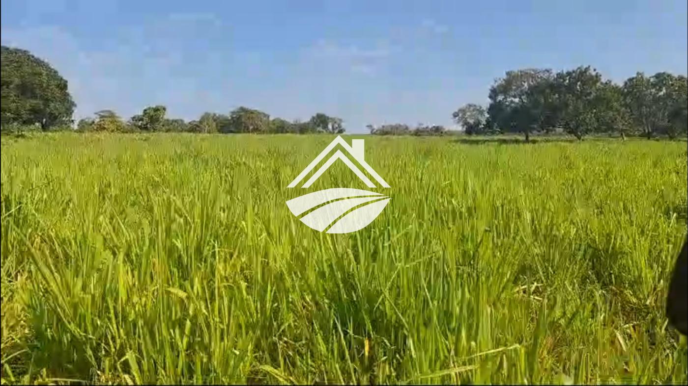 Fazenda à venda, 1m² - Foto 6