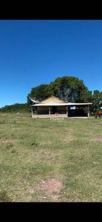 Fazenda à venda com 4 quartos, 53772400M2 - Foto 2