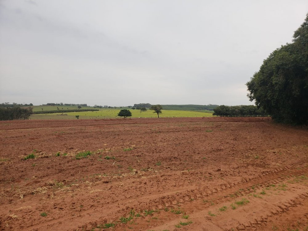 Fazenda à venda, 532400m² - Foto 1