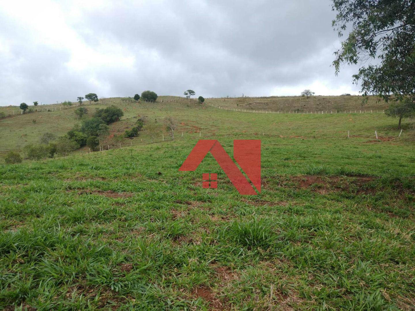 Fazenda à venda com 2 quartos, 200m² - Foto 18