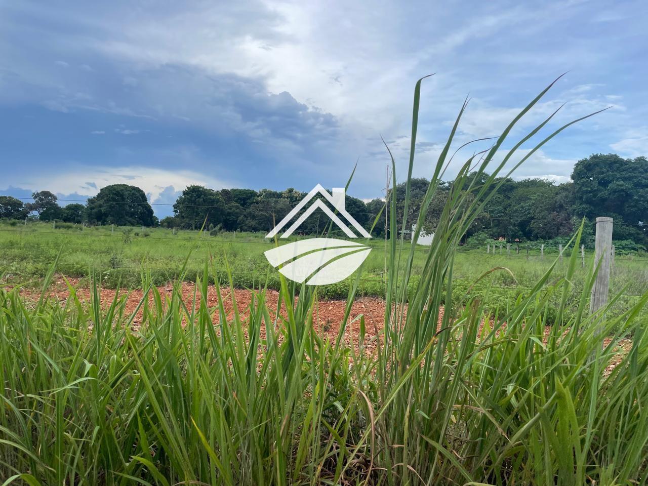 Fazenda para alugar, 1m² - Foto 5
