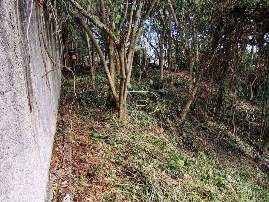 Loteamento e Condomínio à venda, 473M2 - Foto 6