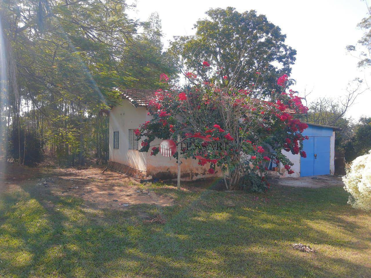 Sítio à venda com 3 quartos, 180m² - Foto 11