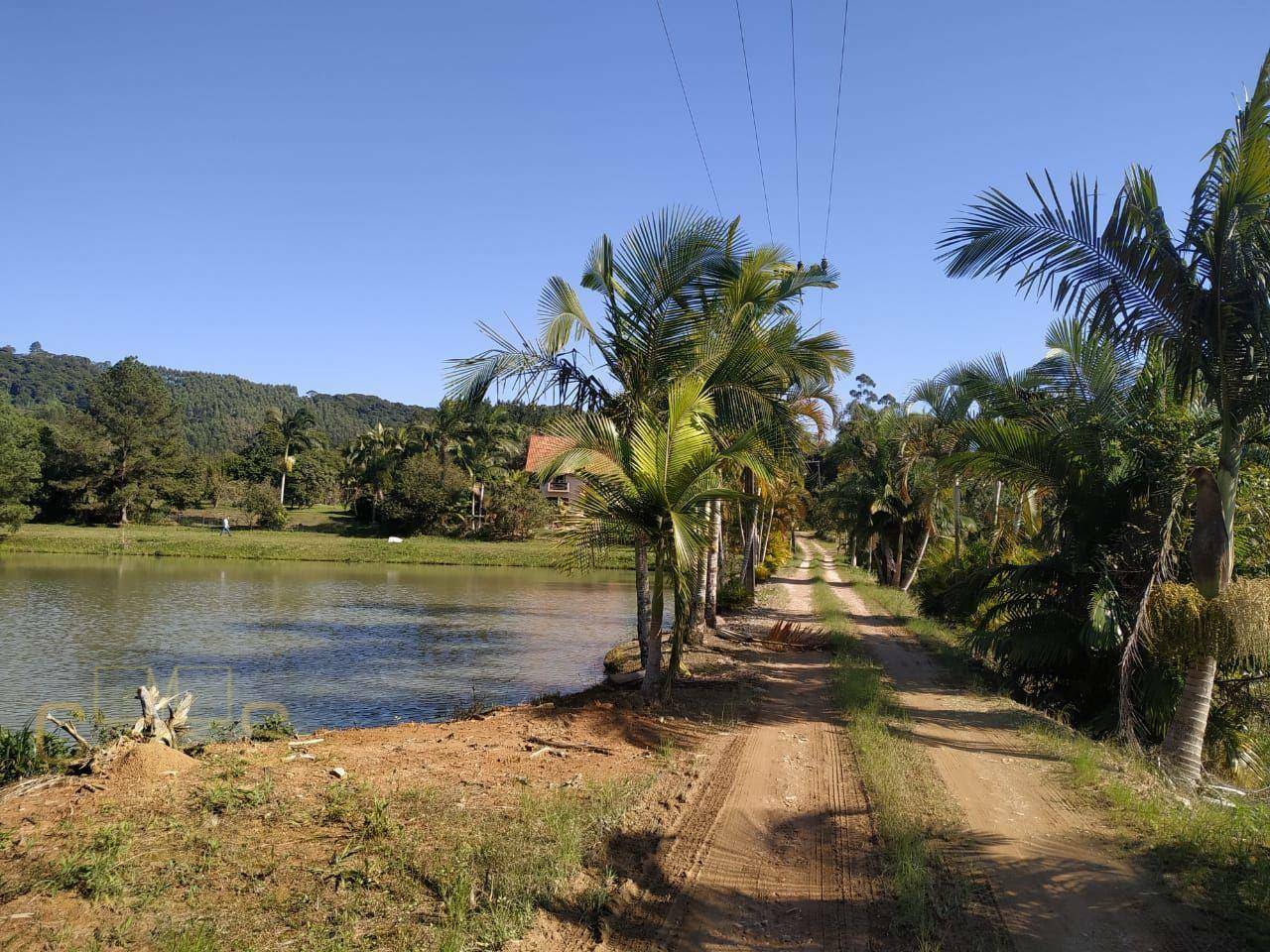 Sítio à venda com 3 quartos, 100000M2 - Foto 4