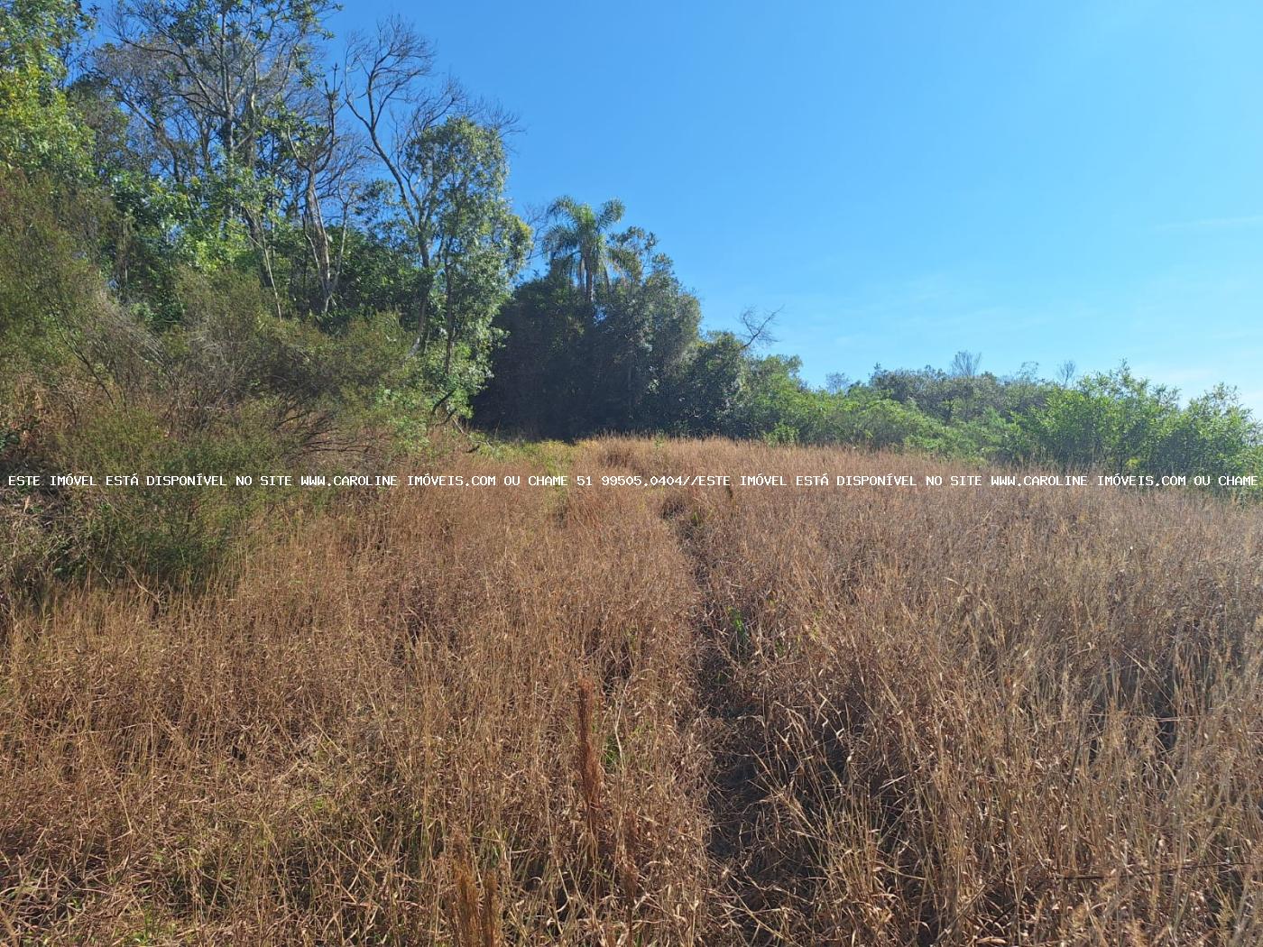 Loteamento e Condomínio à venda, 50000m² - Foto 6