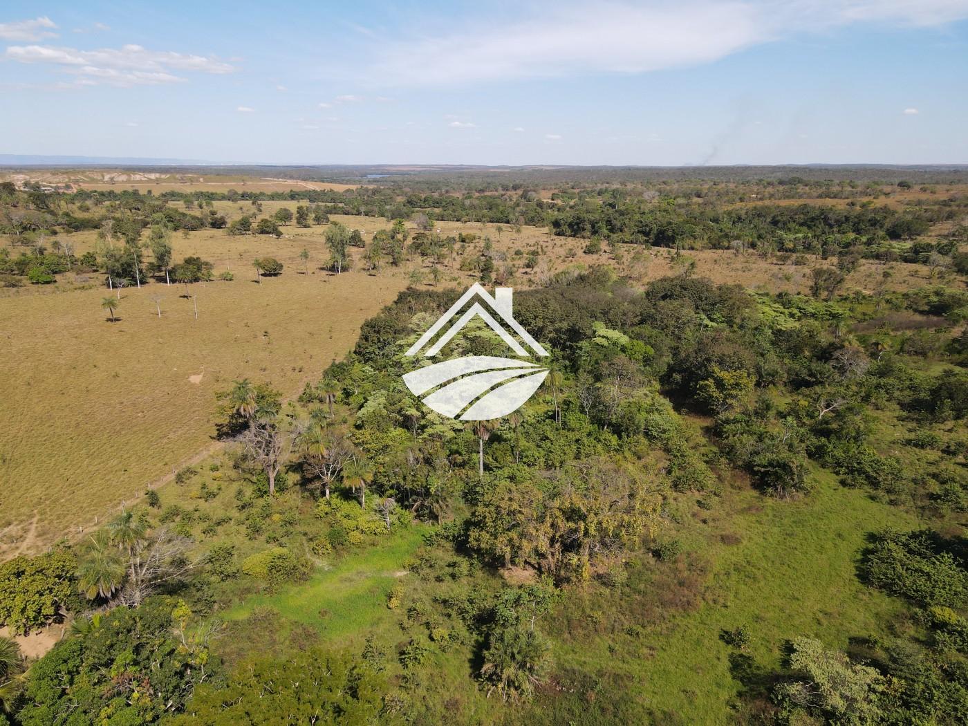 Fazenda à venda com 3 quartos, 452980m² - Foto 5