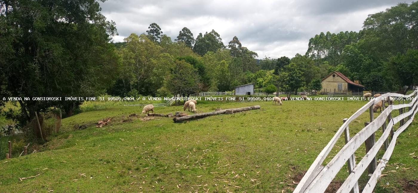 Chácara à venda com 4 quartos, 130000m² - Foto 17