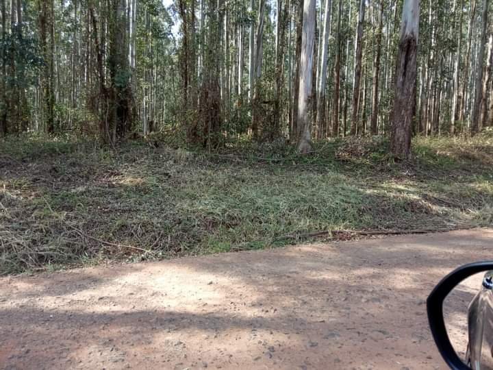 Fazenda à venda, 800m² - Foto 10