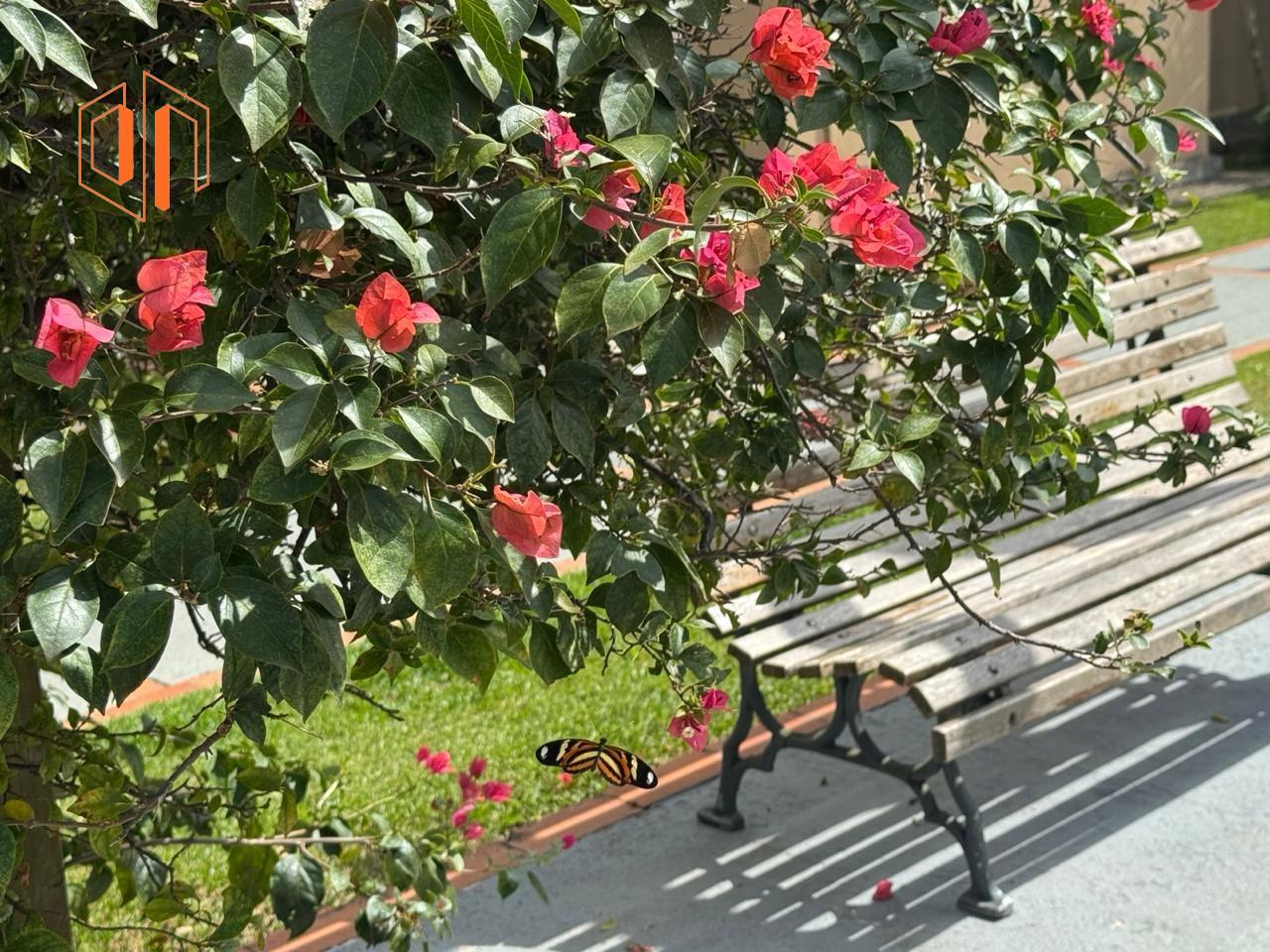Apartamento à venda com 2 quartos, 47m² - Foto 12
