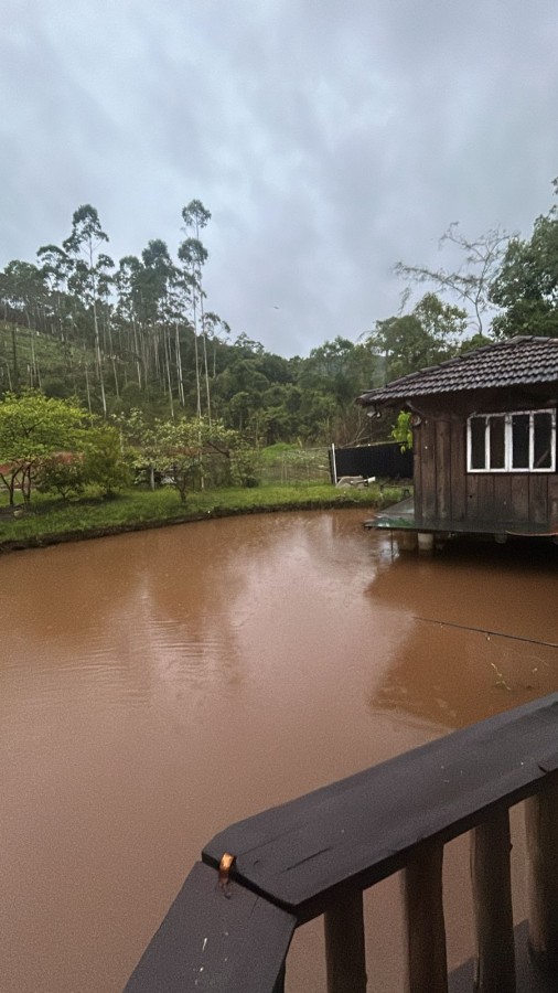 Chácara à venda com 2 quartos, 1990m² - Foto 4