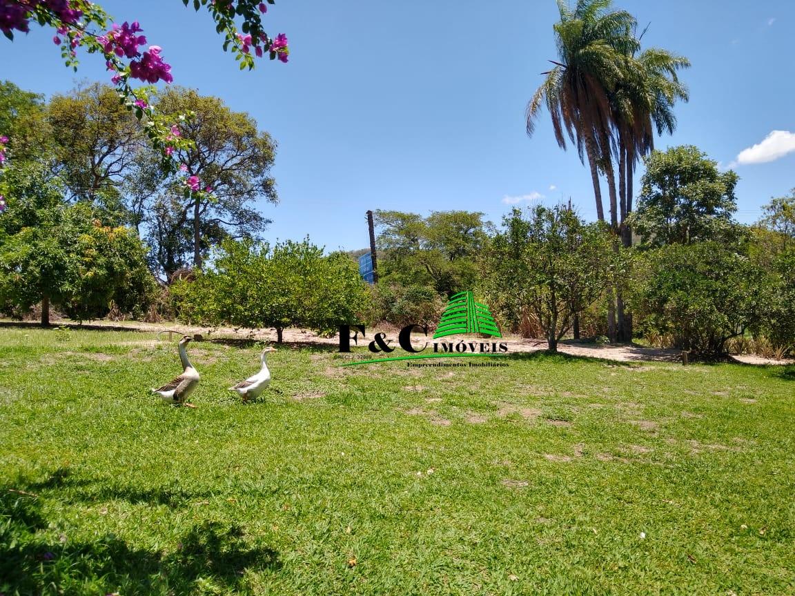 Chácara à venda com 3 quartos, 24200m² - Foto 41