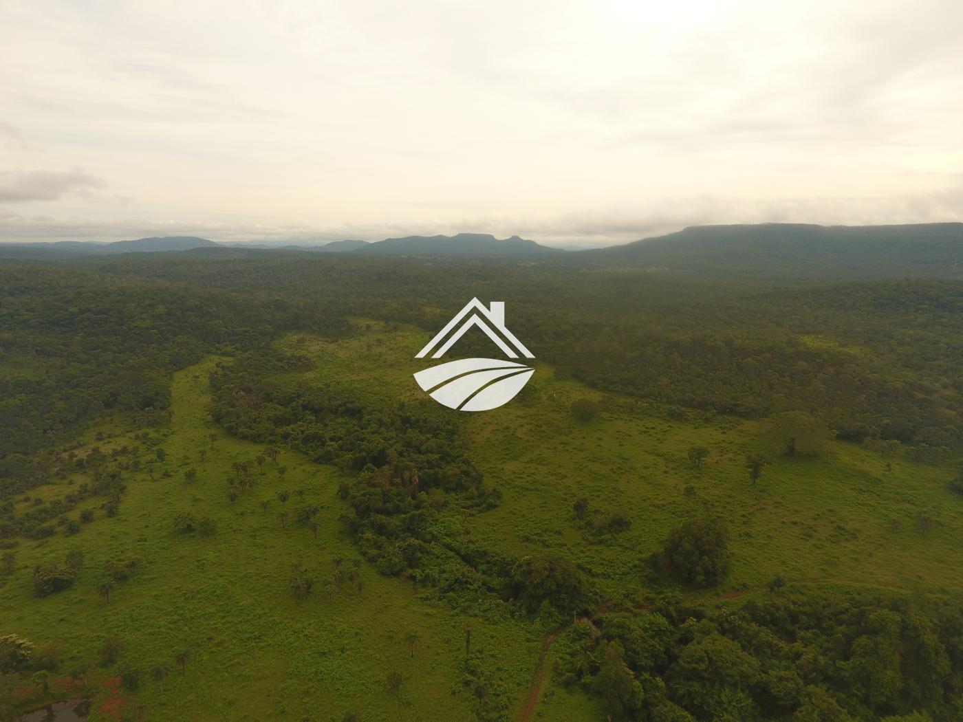 Fazenda à venda, 1m² - Foto 4